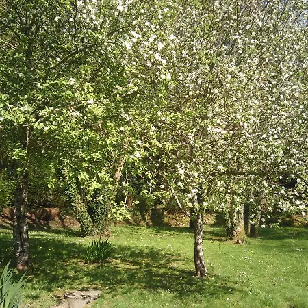 La Grange Du Minuellou 3* Melgven